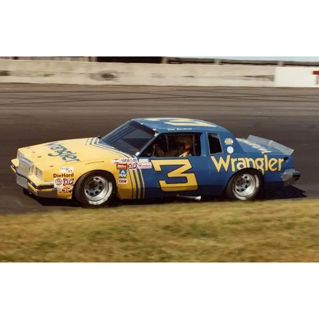 Carson Hocevar Darlington Throwback to 1981 Dale Earnhardt 1:24 Color Chrome 2026 Diecast Car Preorder - Currently Projected December - Image 4